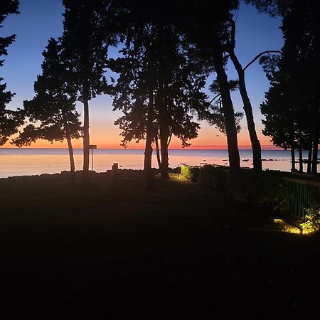 Villa Amore Radini Istrian Romantic Studio With Private Parking And Terrace Brtonigla Esterno foto